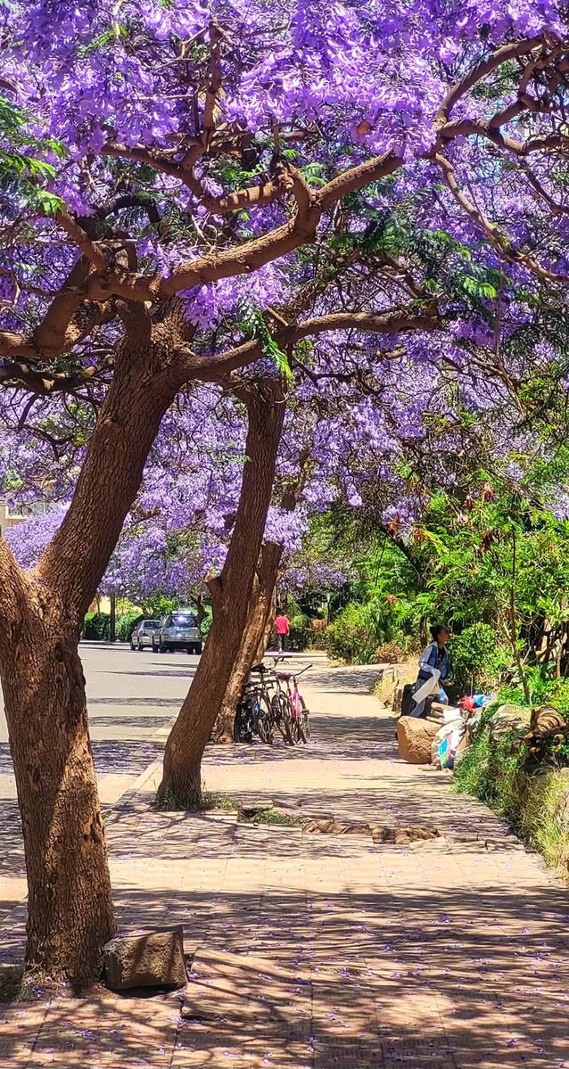 Ghideon Musa tweet media