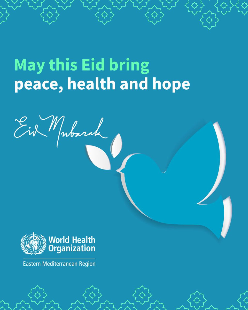 HananBalkhyحنان بلخي tweet media