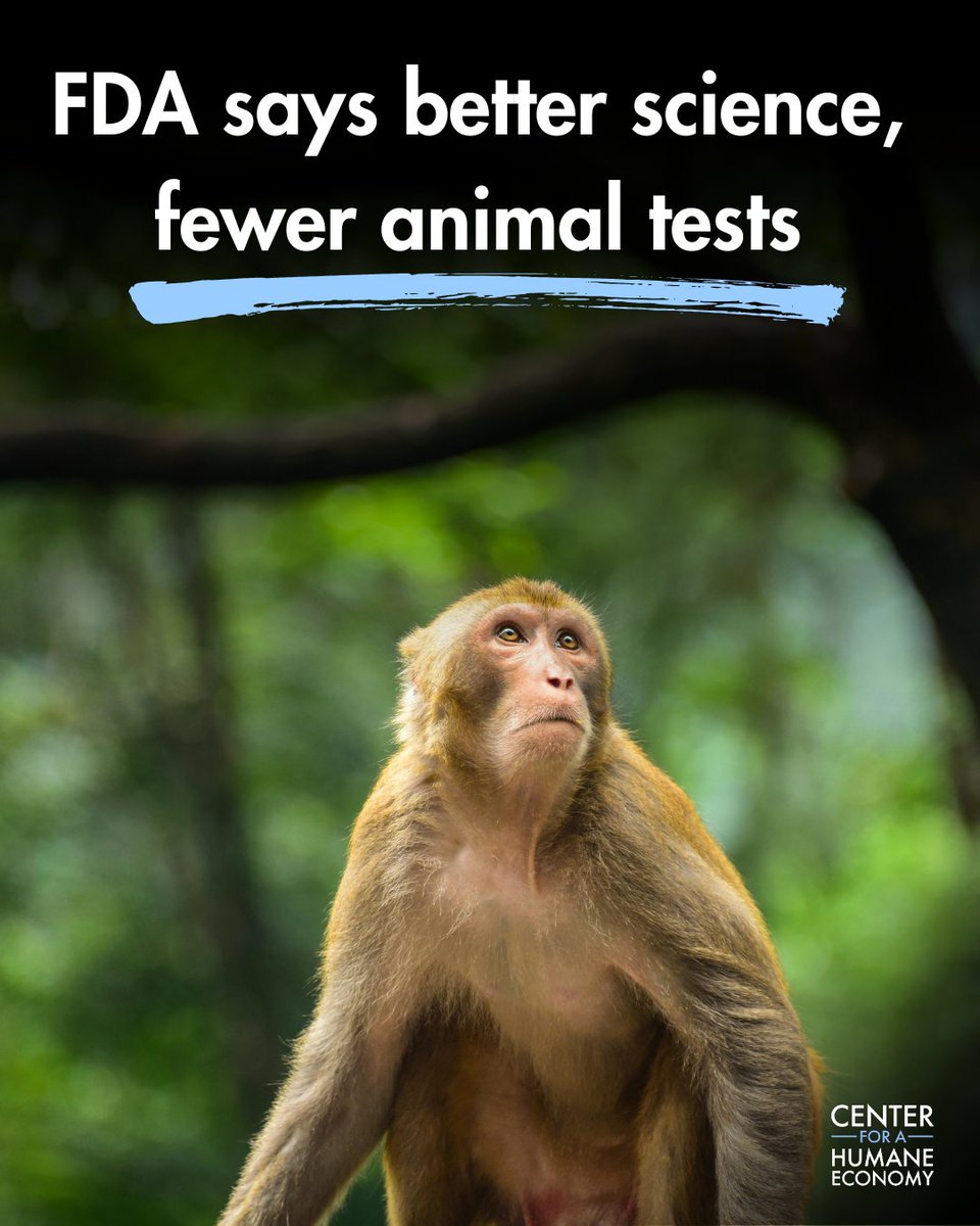 Center for a Humane Economy tweet media