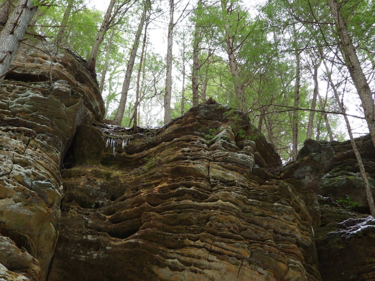 Solar Queen/ Music Fiend tweet media