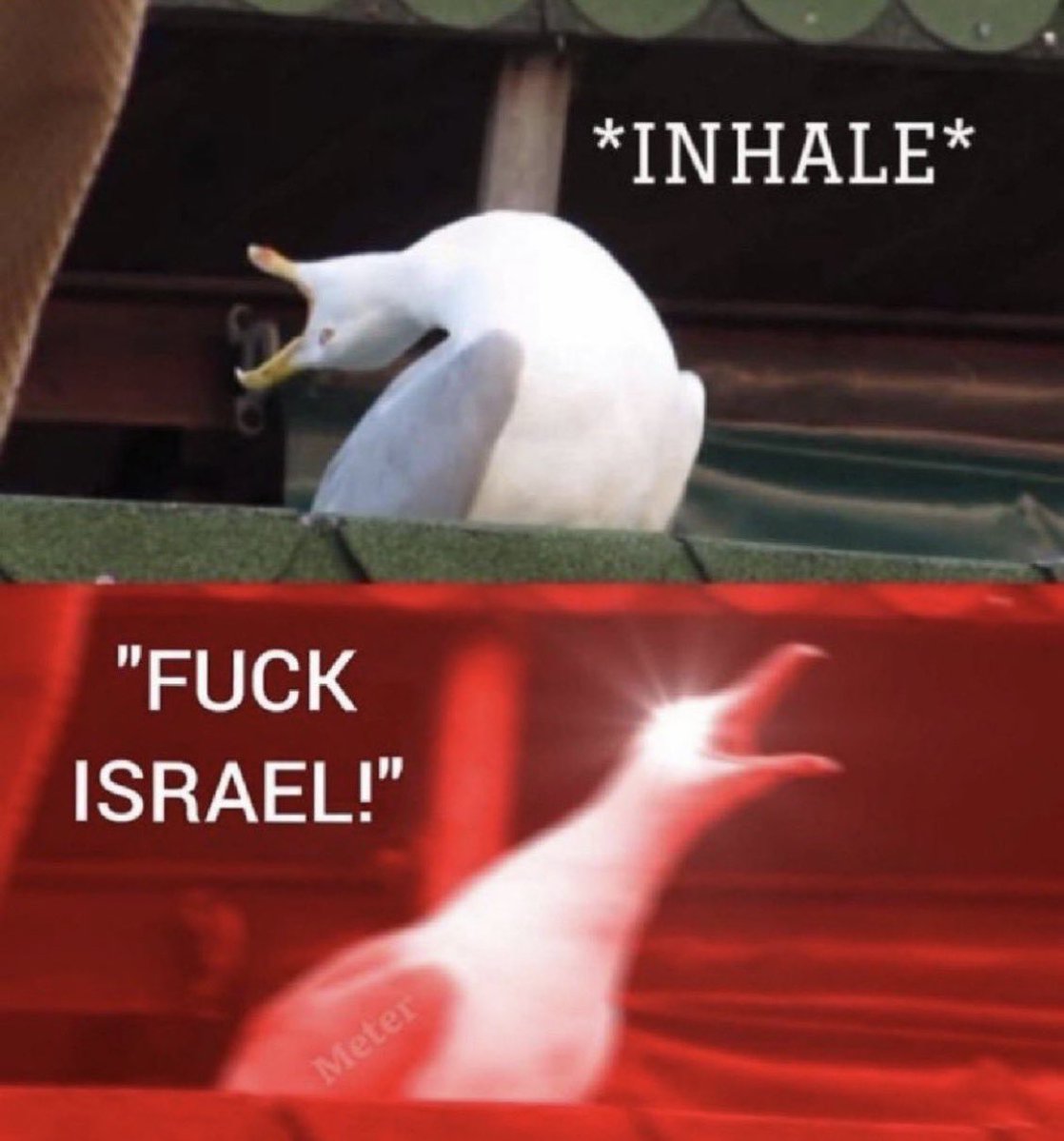 Fists and metal tweet media