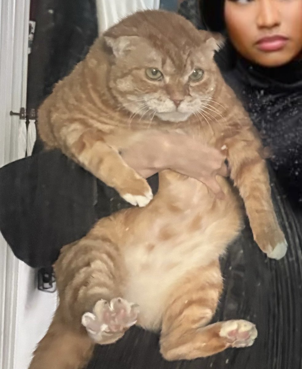 김냄비 tweet media