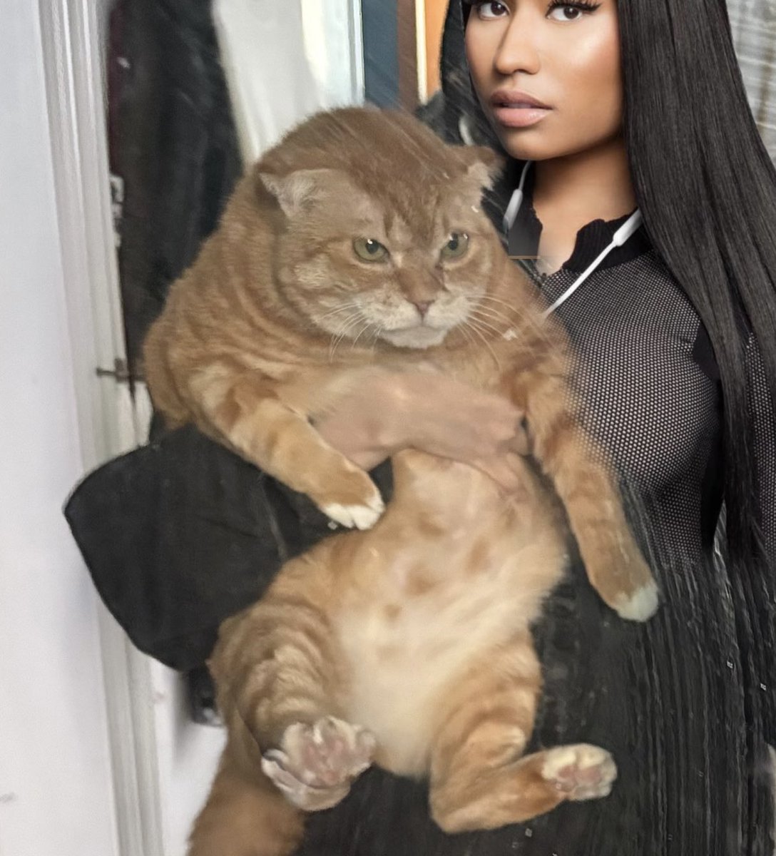 김냄비 tweet media