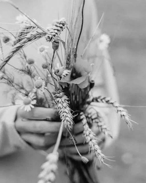 Révolution tweet media