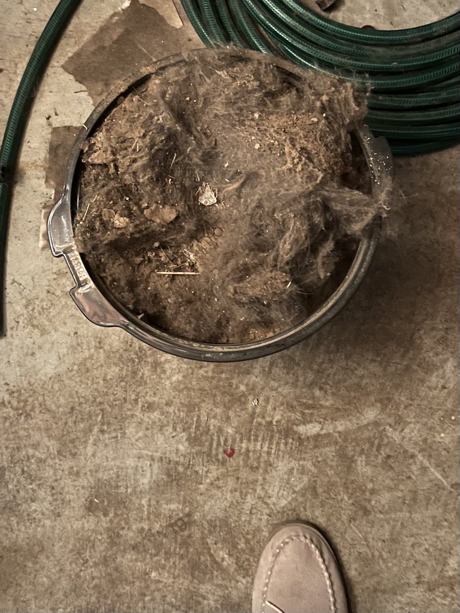 Sandy 〽️ tweet media