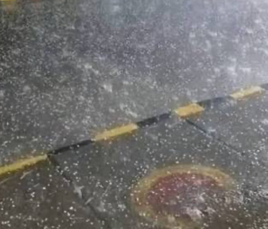 Jyoti 🐦‍🔥 tweet media