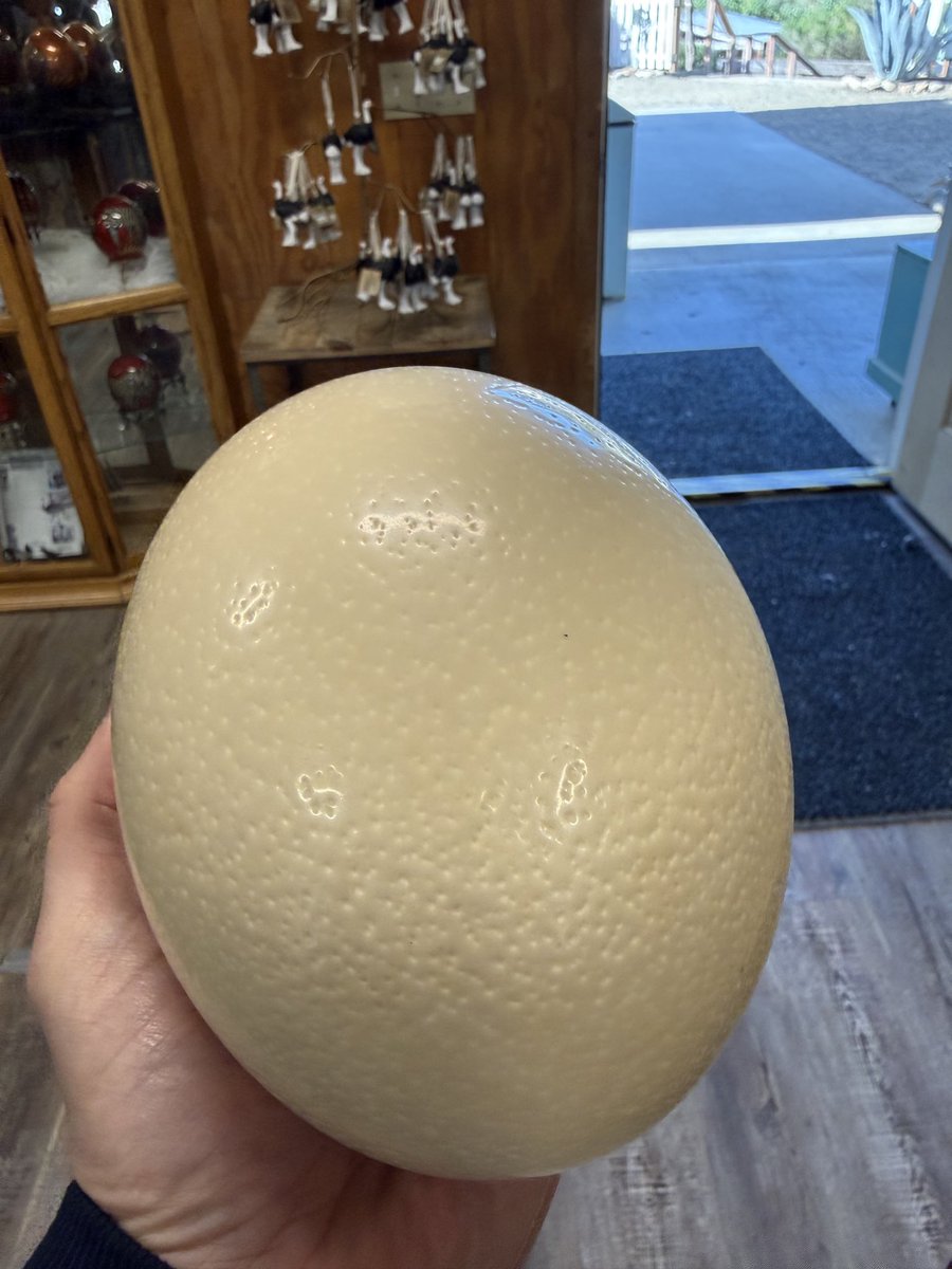 cryptorockstar tweet media