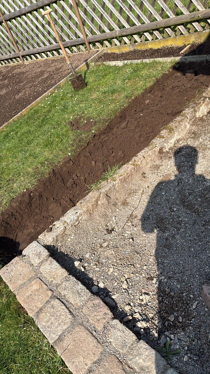 dobby/Floko/Leander tweet media