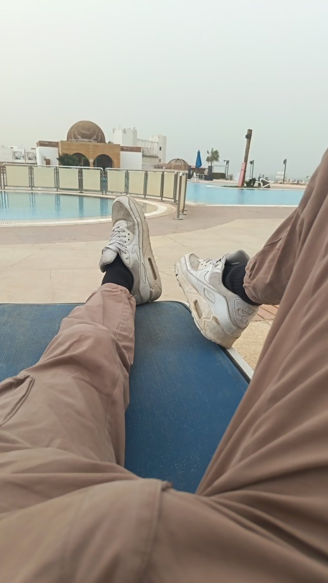 🇮🇹Italian Alpha🇵🇸 tweet media