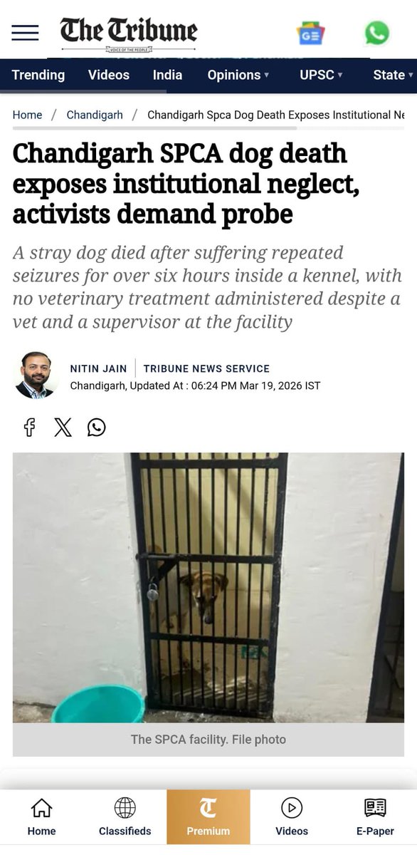 NITIN JAIN I Journalist Chandigarh Punjab IND 🇮🇳 tweet media