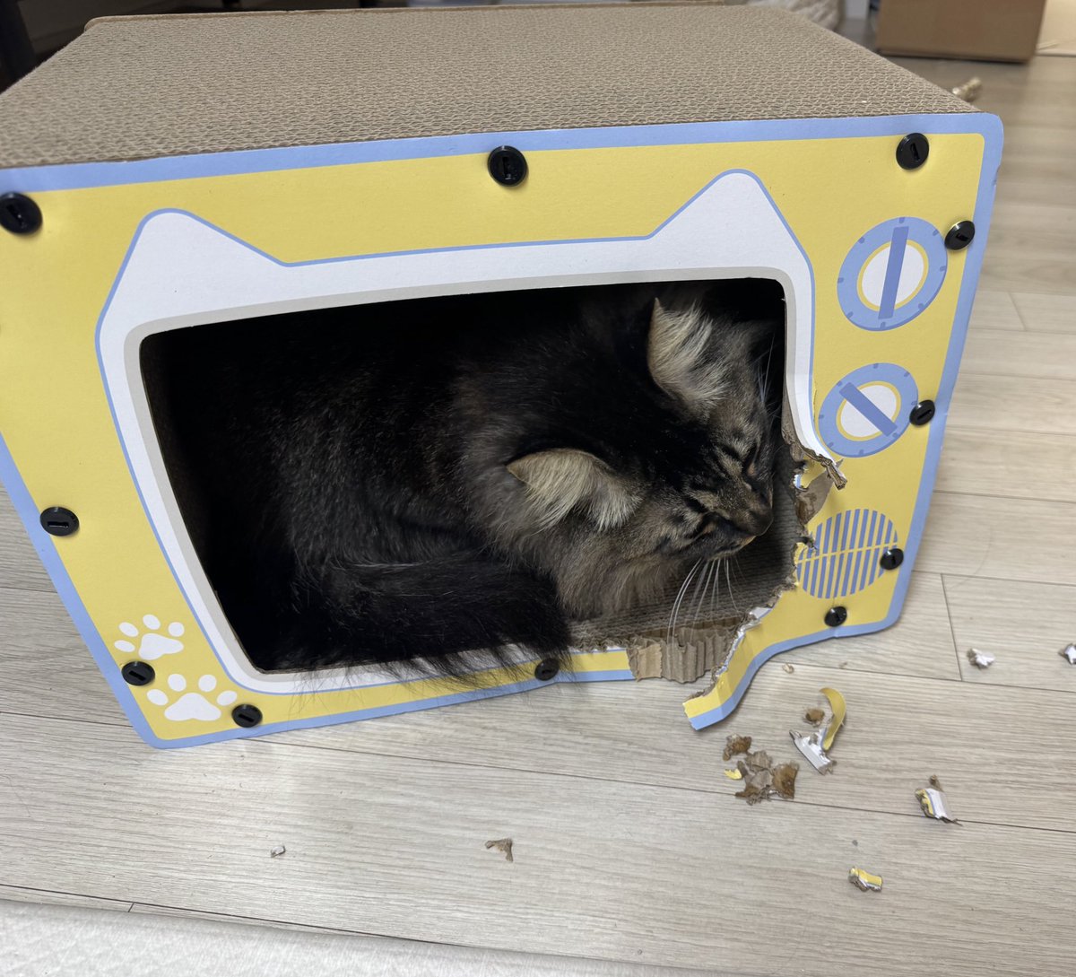 봉이 서호두 ͡° ͜ʖ ͡° tweet media