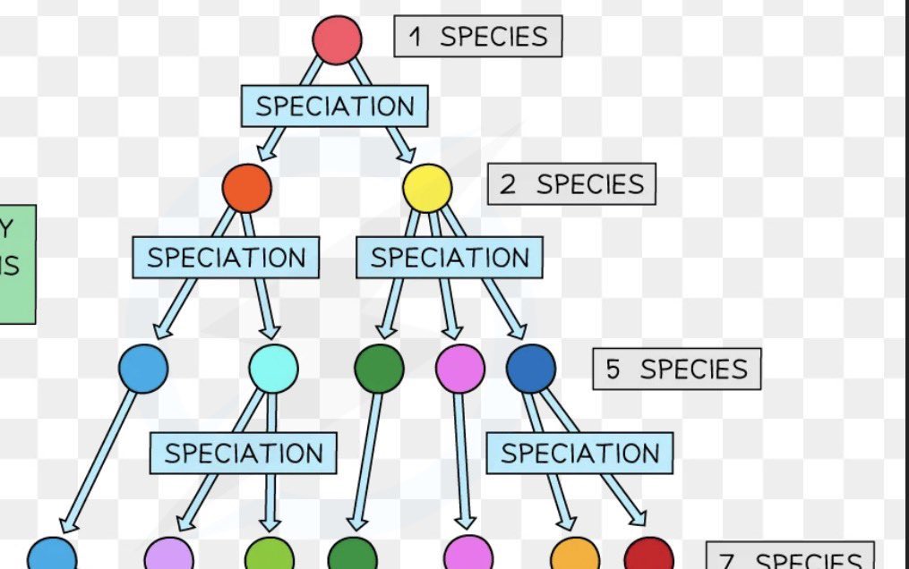 Michael Andrew tweet media