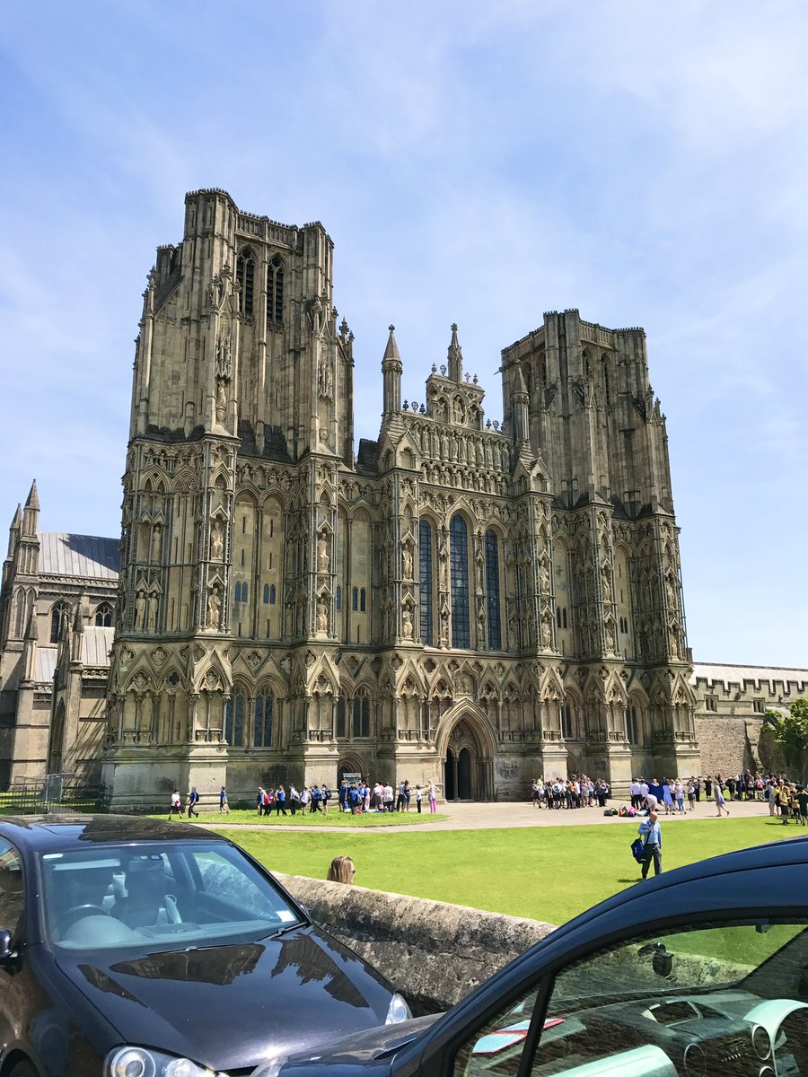 Alex DiPrima tweet media