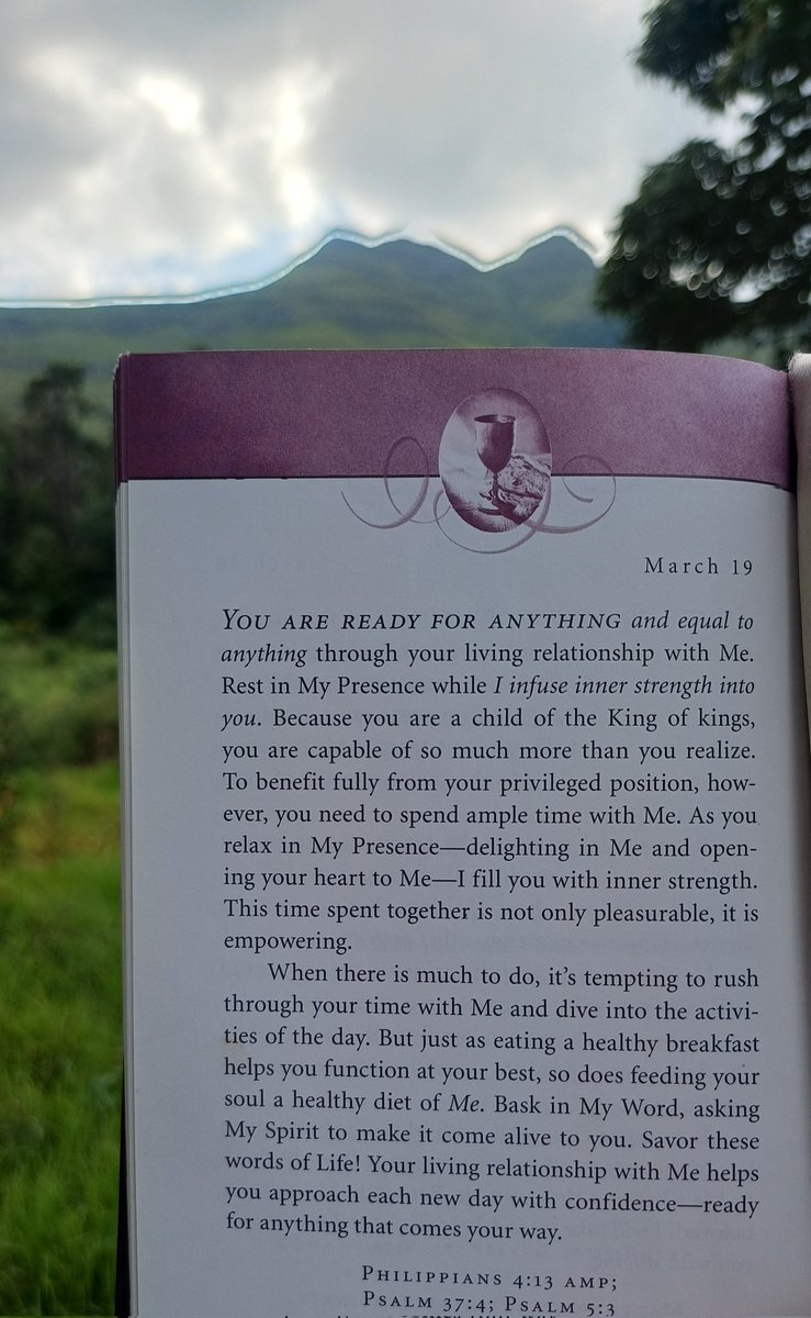 Monique van der KZN 🇿🇦 tweet media