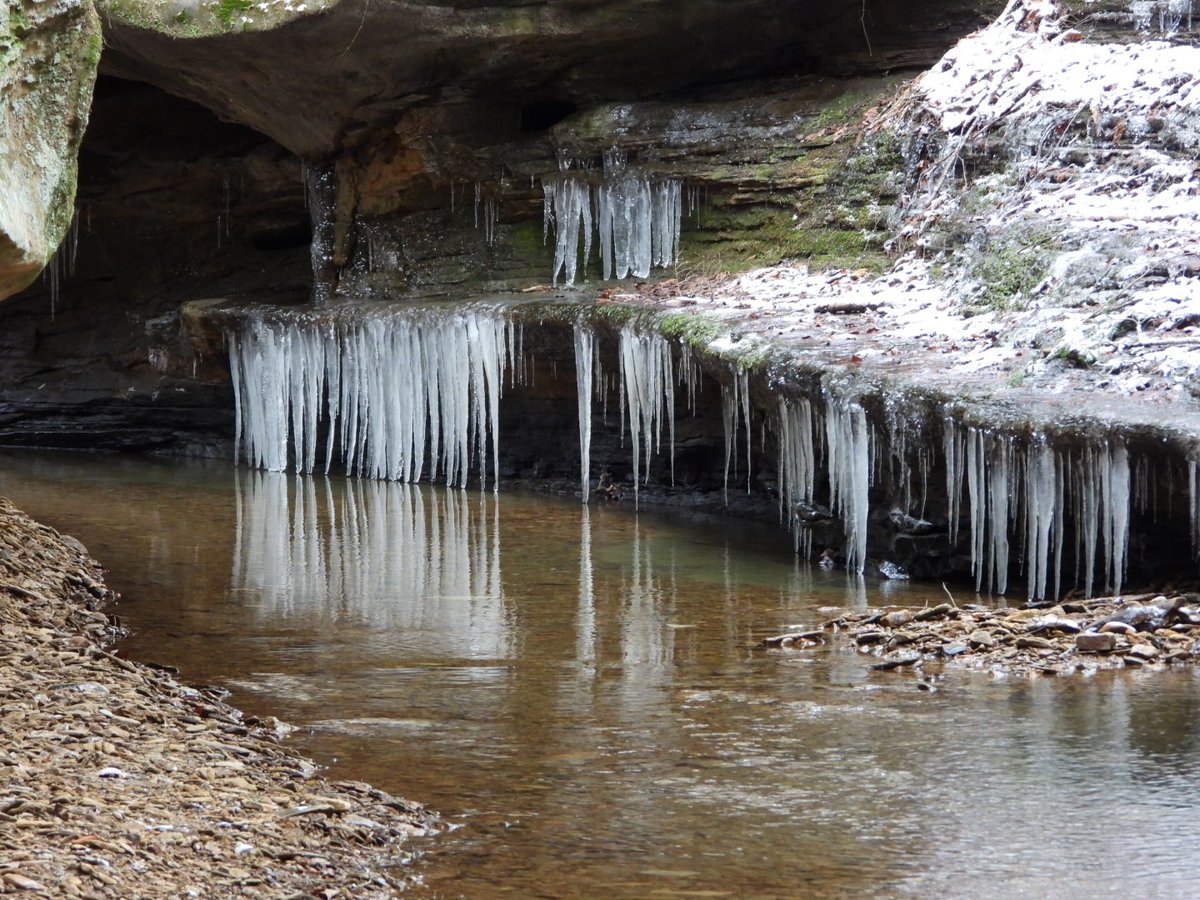 Solar Queen/ Music Fiend tweet media