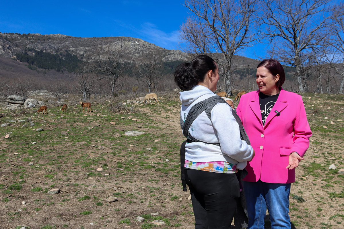 Begoña García Bernal tweet media