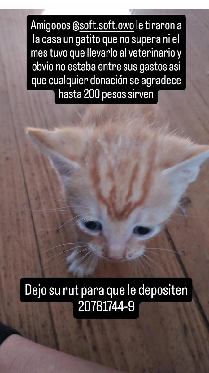 Mimi doxeada kriselle tweet media