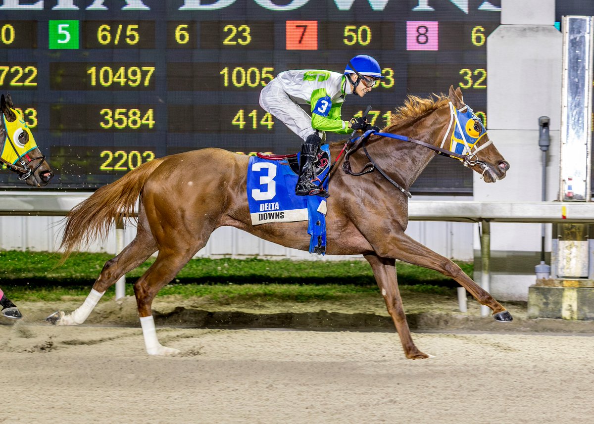 Equibase tweet media