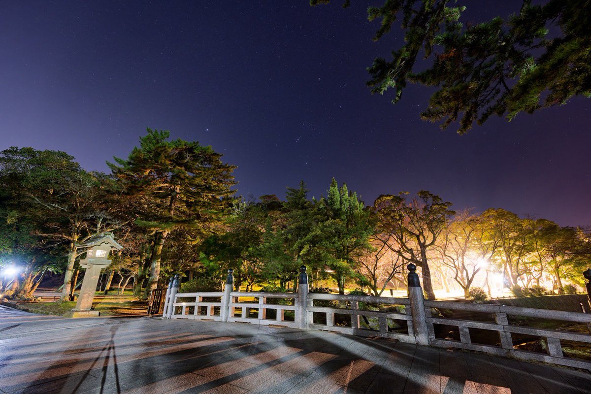 LAフォトときどき tweet media