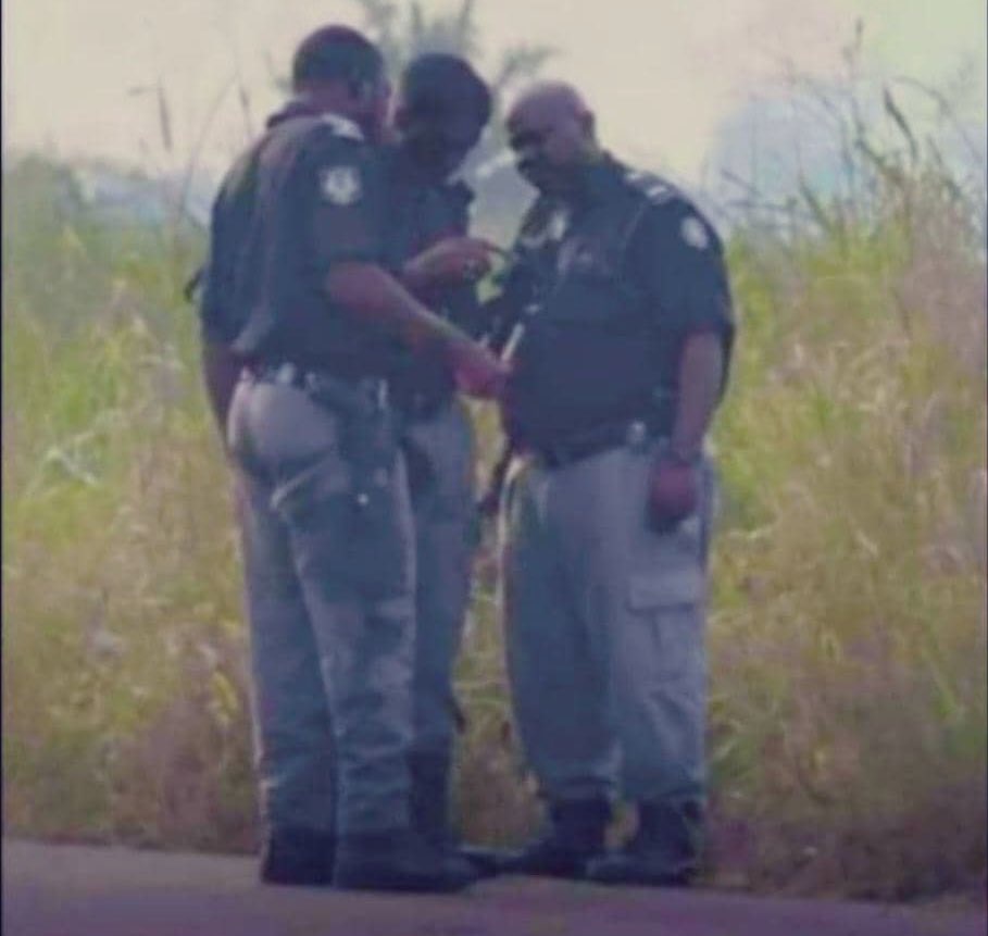 Ade Omo Ade 🎭 tweet media