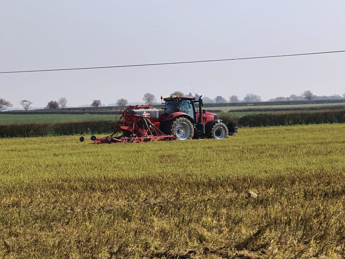 Malc Parr 🇬🇧 tweet media