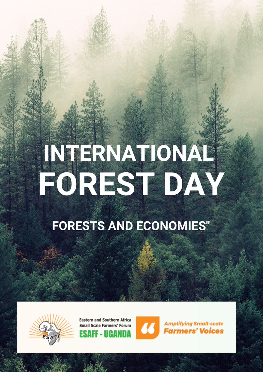 KilimoMart App tweet media