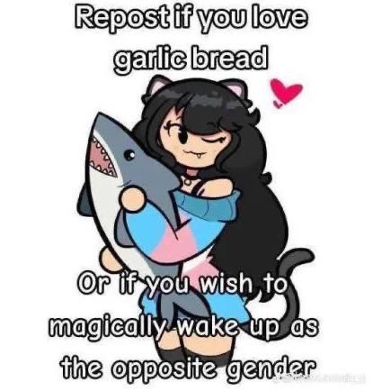 Willower🏳️‍⚧️ tweet media