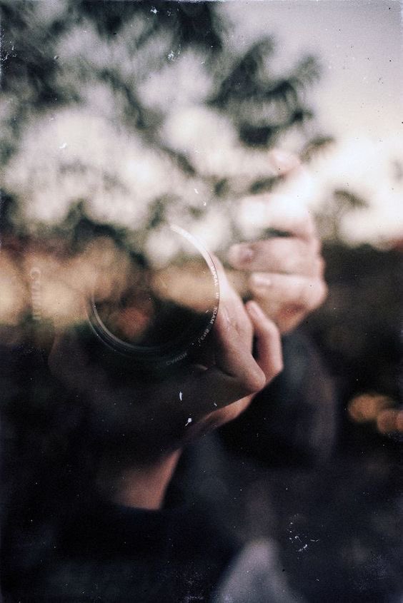 Ｍ ◉ ＳＥＳ tweet media