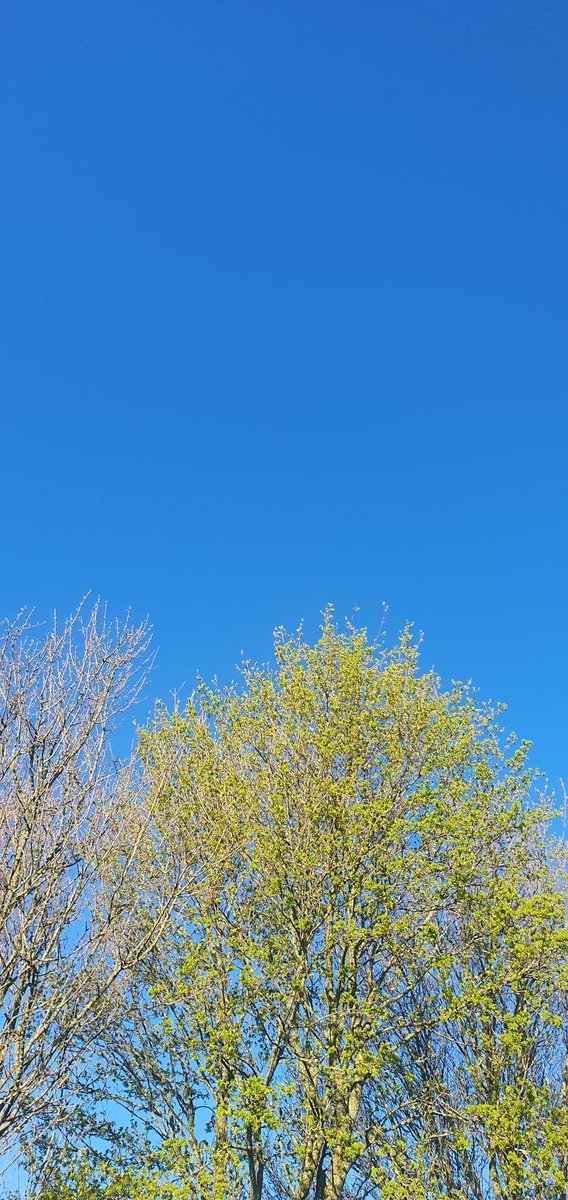 Andy Scott tweet media