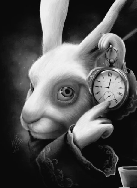 •Max D. Luffy• tweet media