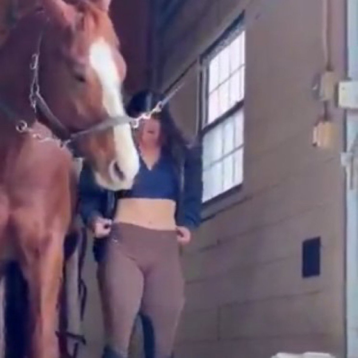 AlphaNumericX tweet media