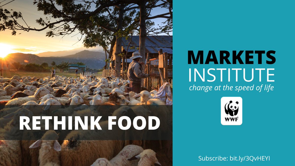 The Markets Institute @ WWF tweet media