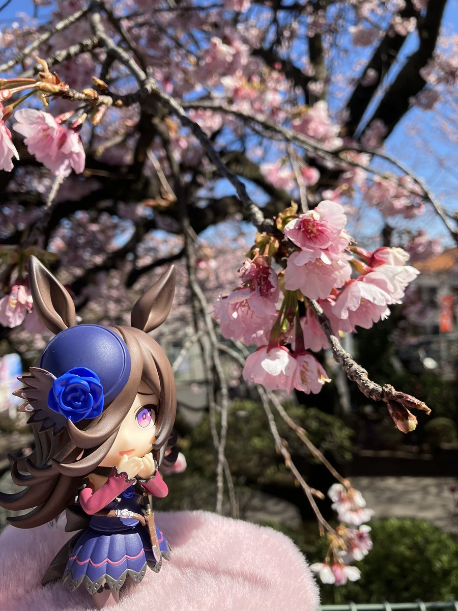 ビンヅメ❕ tweet media