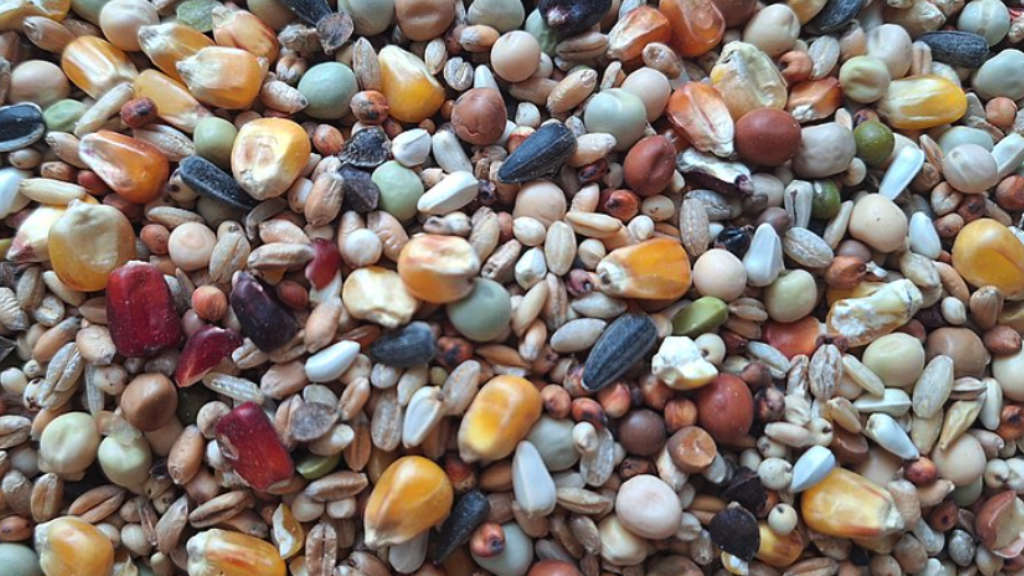 Russia's Pivot to Asia tweet media