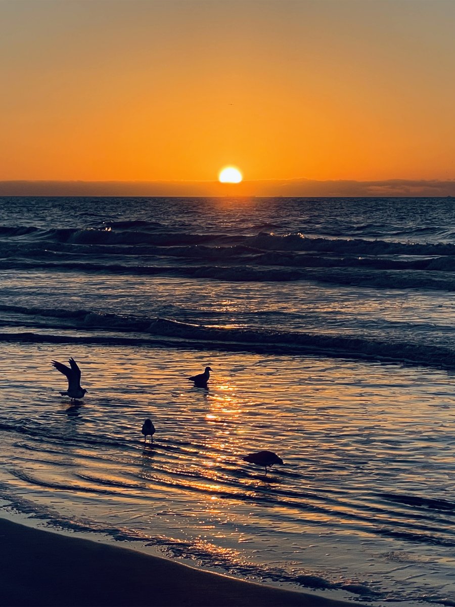 Arty Lunch • Arthur Poindexter Lunch • RaymondGuy tweet media