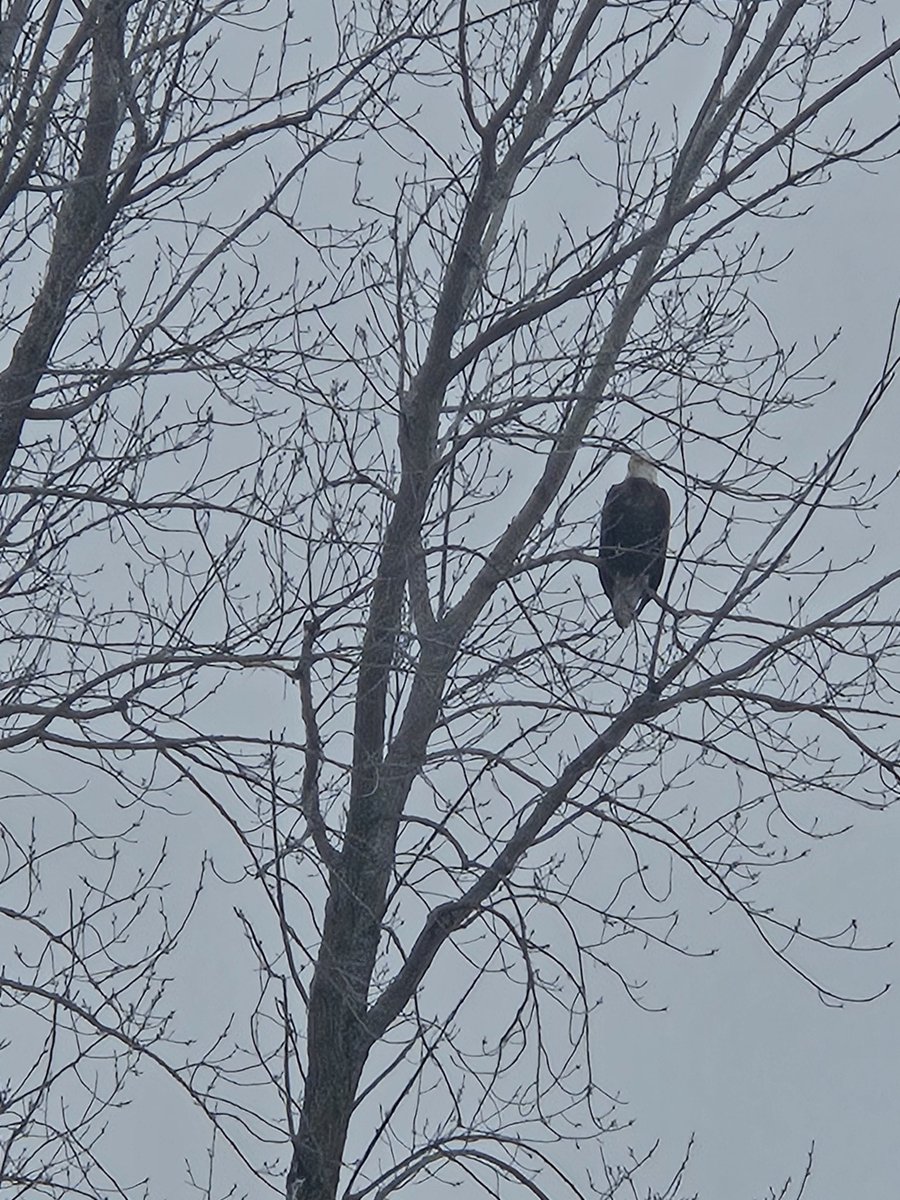 AlexNad ®️🎪 tweet media