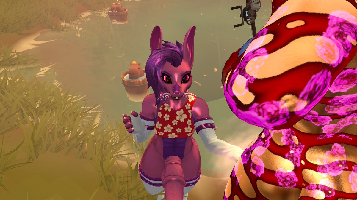 ๐๐ฅ๐ช๐ต๐ฎ๐ท๐ฝ๐ฒ๐ท๐ฎ ๐๐พ๐ท ๐๐๐ tweet media