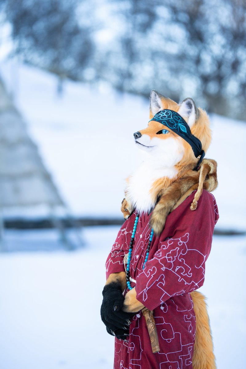 しゃとる（雷鳥の人）🦃🦊 tweet media