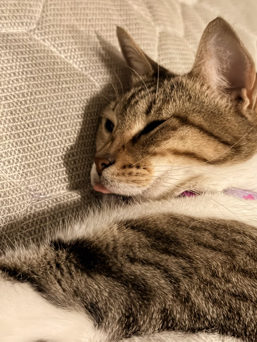 Grim Voyd tweet media