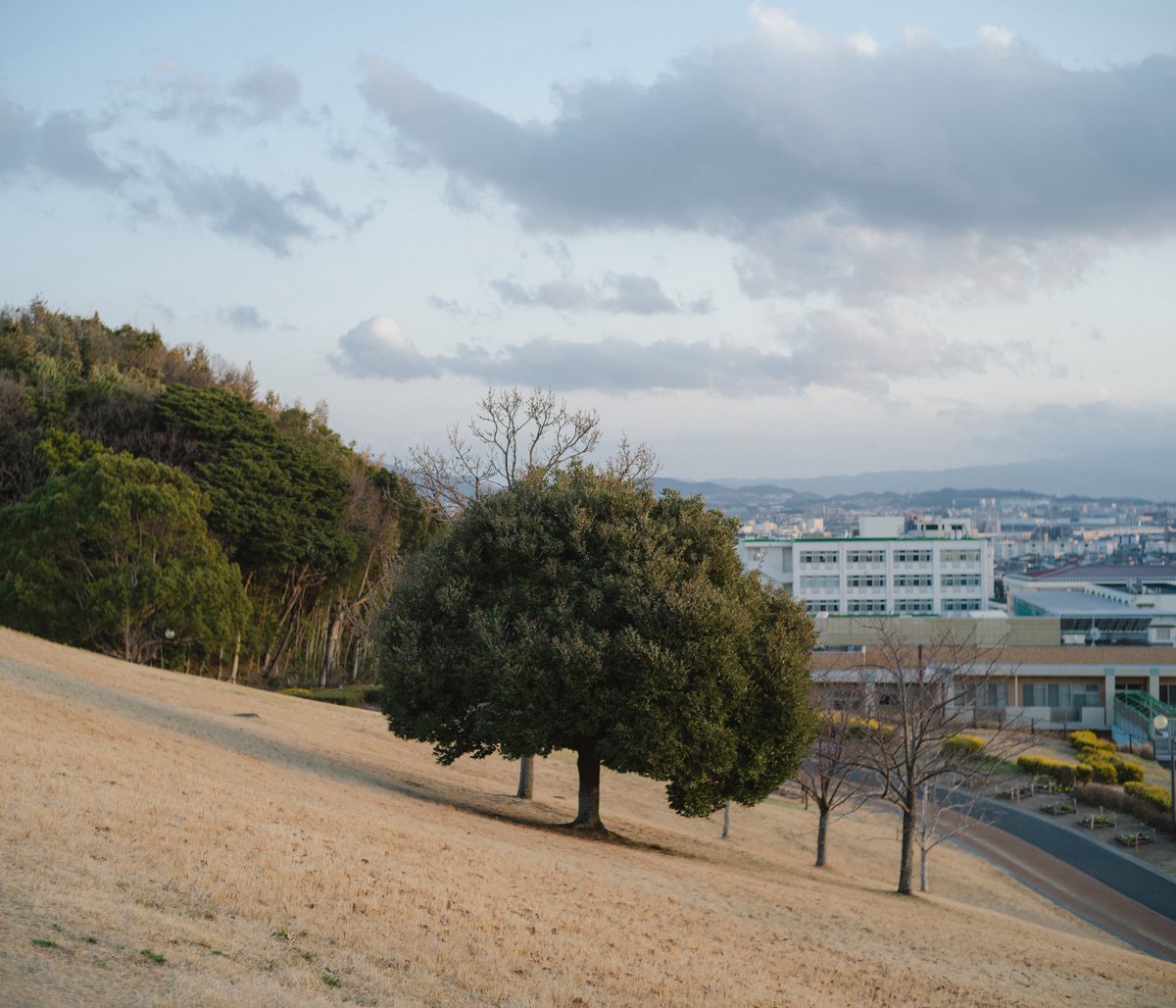 UMA｜悠真 tweet media