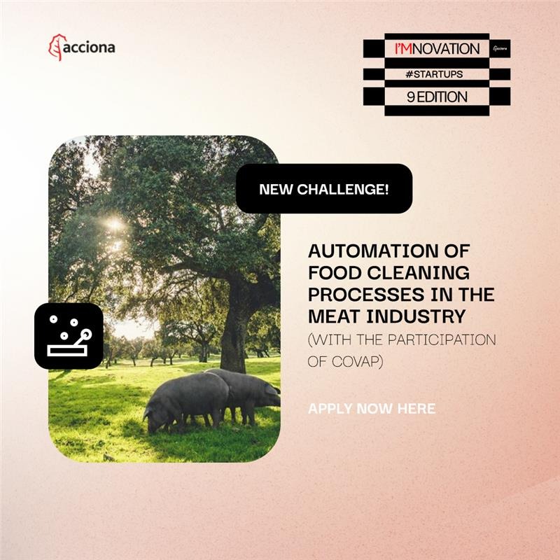 ACCIONA_EN's tweet photo. New #challenge open 📢

Through our ''ACCIONA @Imnovation #Startups program'', we’re looking for solutions to automate cleaning processes in food facilities, reducing water and energy use while improving efficiency and worker ergonomics

👉 Submit your solution ⤵️