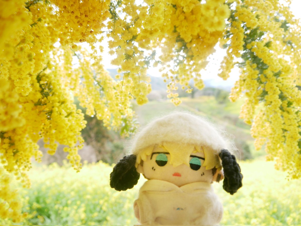 りりり tweet media