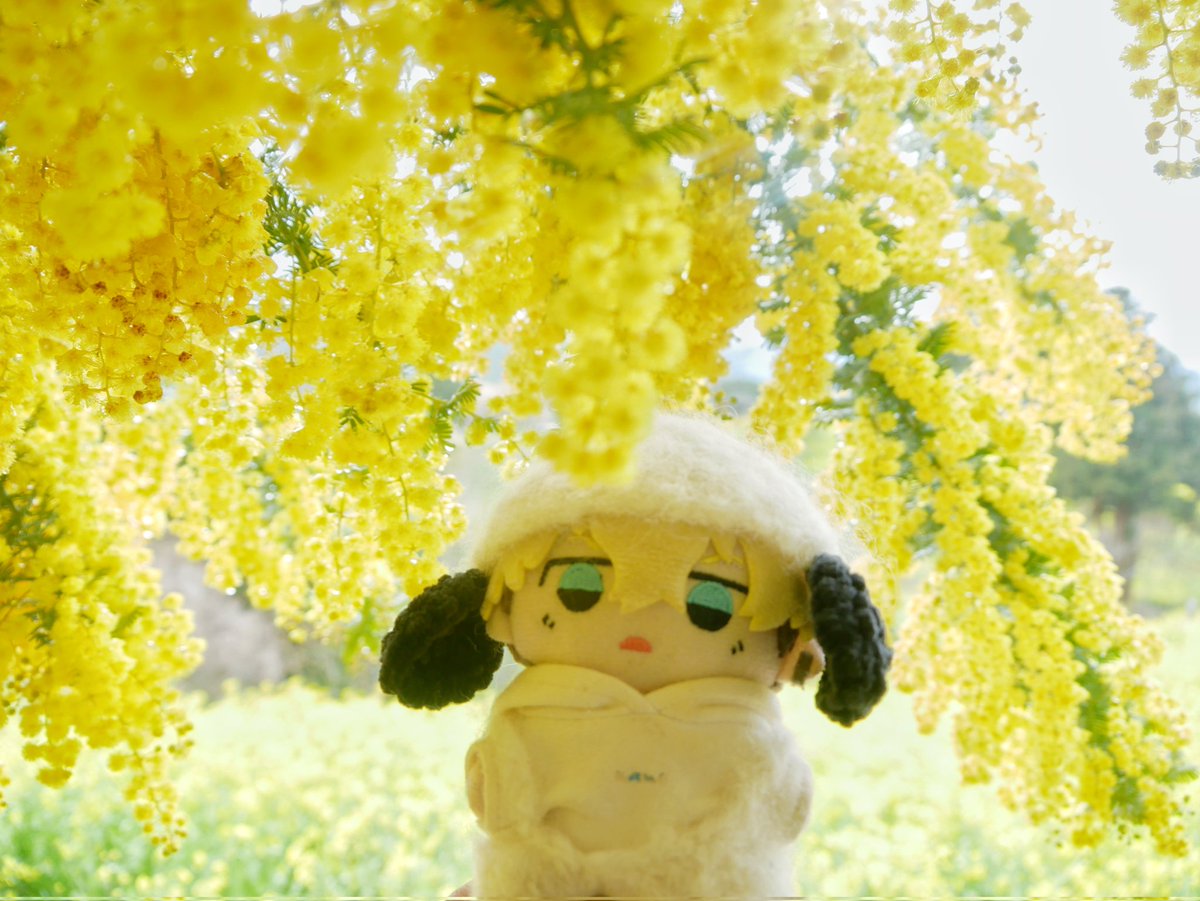 りりり tweet media