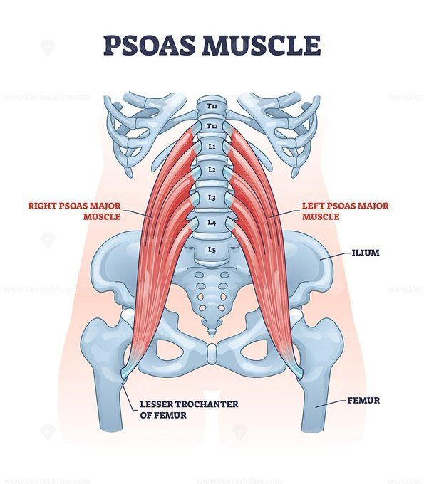 Lore Cárdenas. tweet media