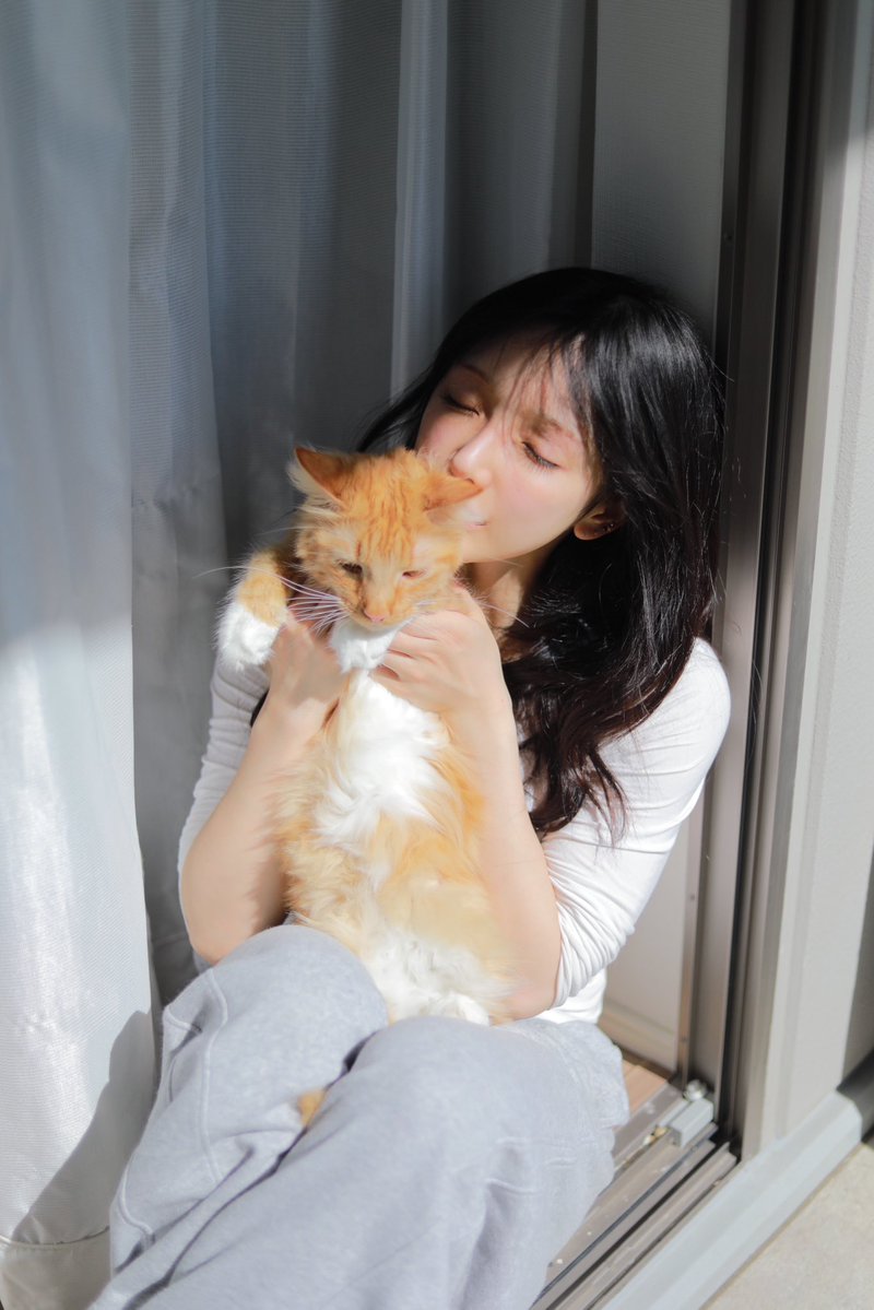 nonpedophile tweet media