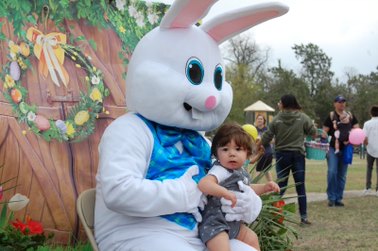 VisitEarlyTexas tweet media