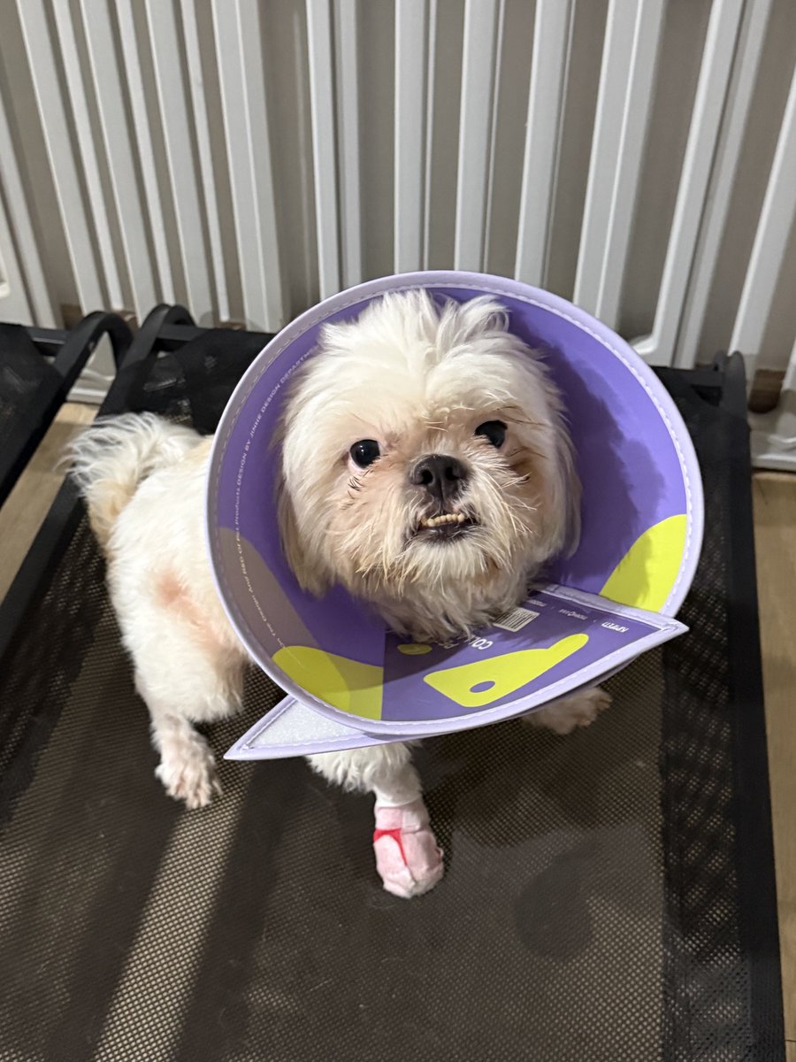 DNVP 💋 (Malonfamily) tweet media