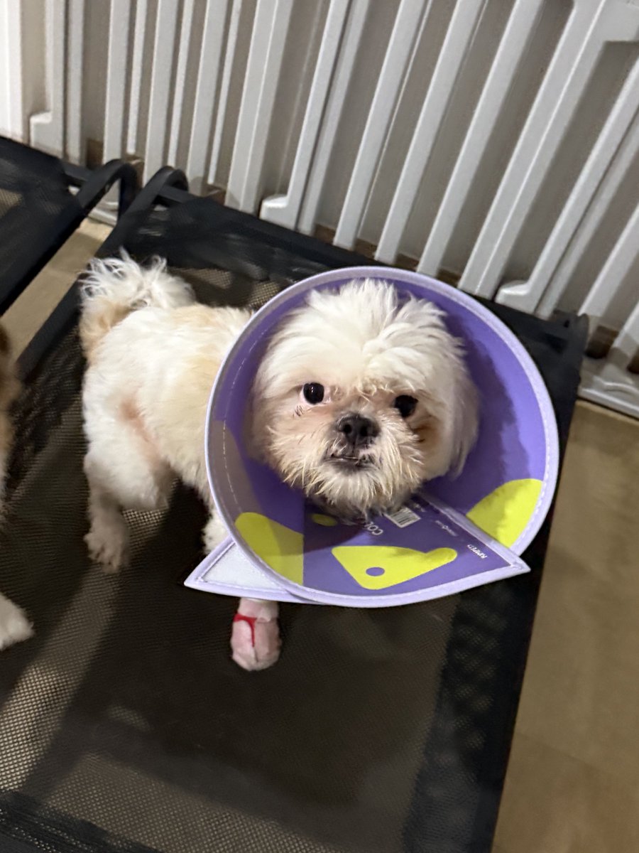 DNVP 💋 (Malonfamily) tweet media