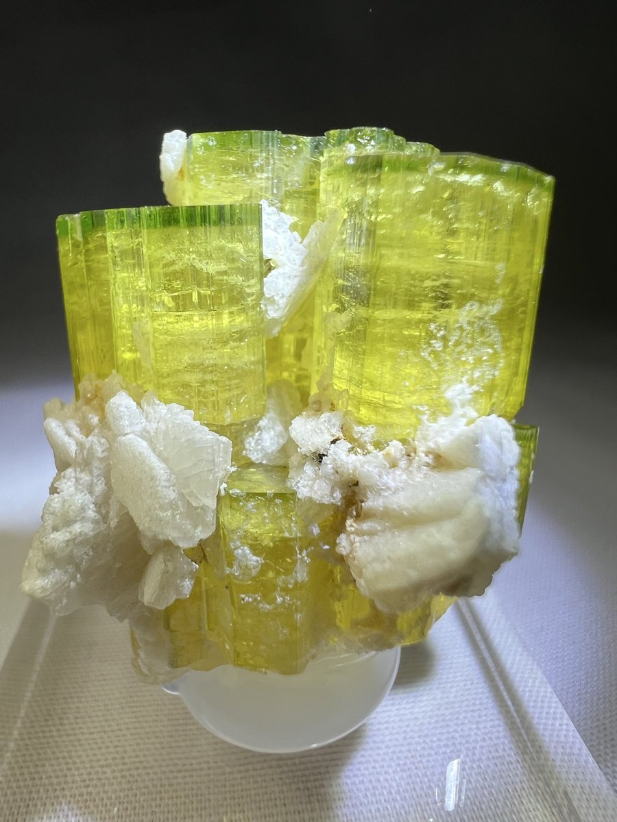 ましゅ tweet media