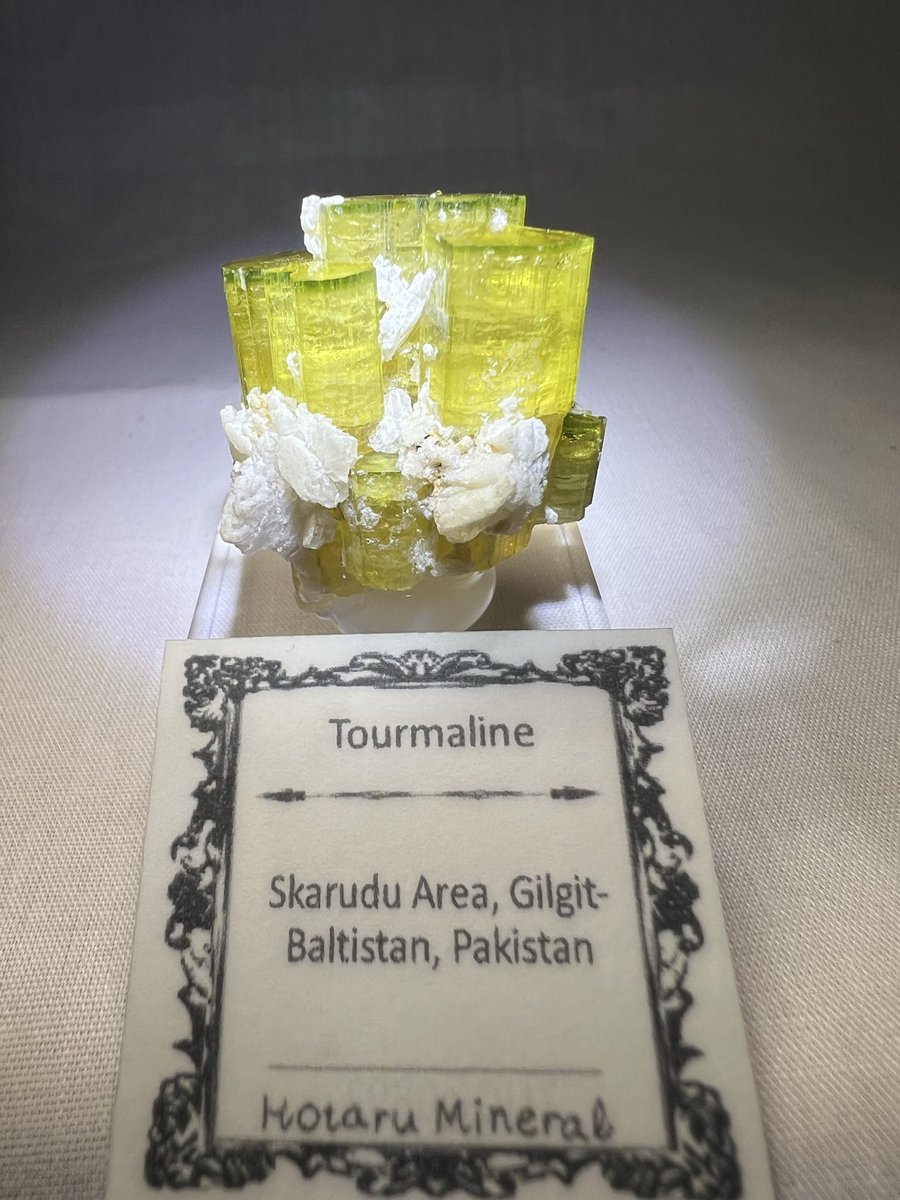 ましゅ tweet media